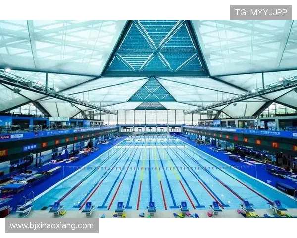 全方位深度解析全球顶级游泳赛事观赛与参赛实用攻略指南