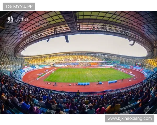 铁人三项观赛指南全面解析从入门知识到现场助威全攻略