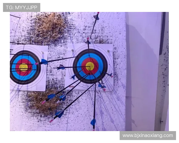 从器材到姿势发力射箭技术全流程详细解读指南与训练要点实战应用解析